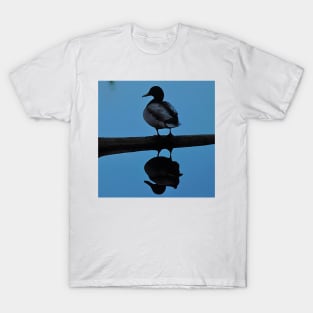 Duck Water Reflection T-Shirt